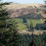 IMG_64593468087076